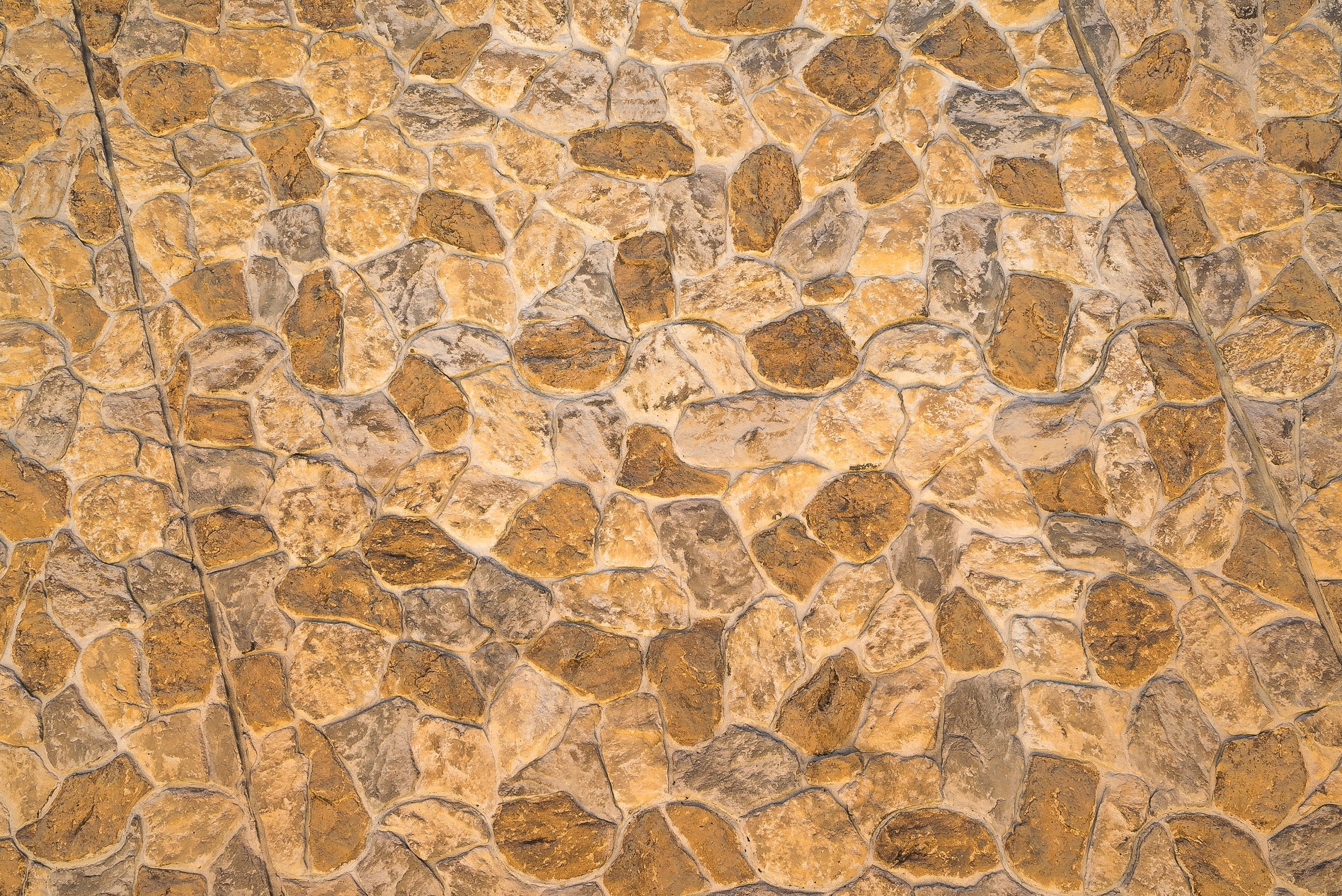 Mordialloc Life Saving Club Victoria 2