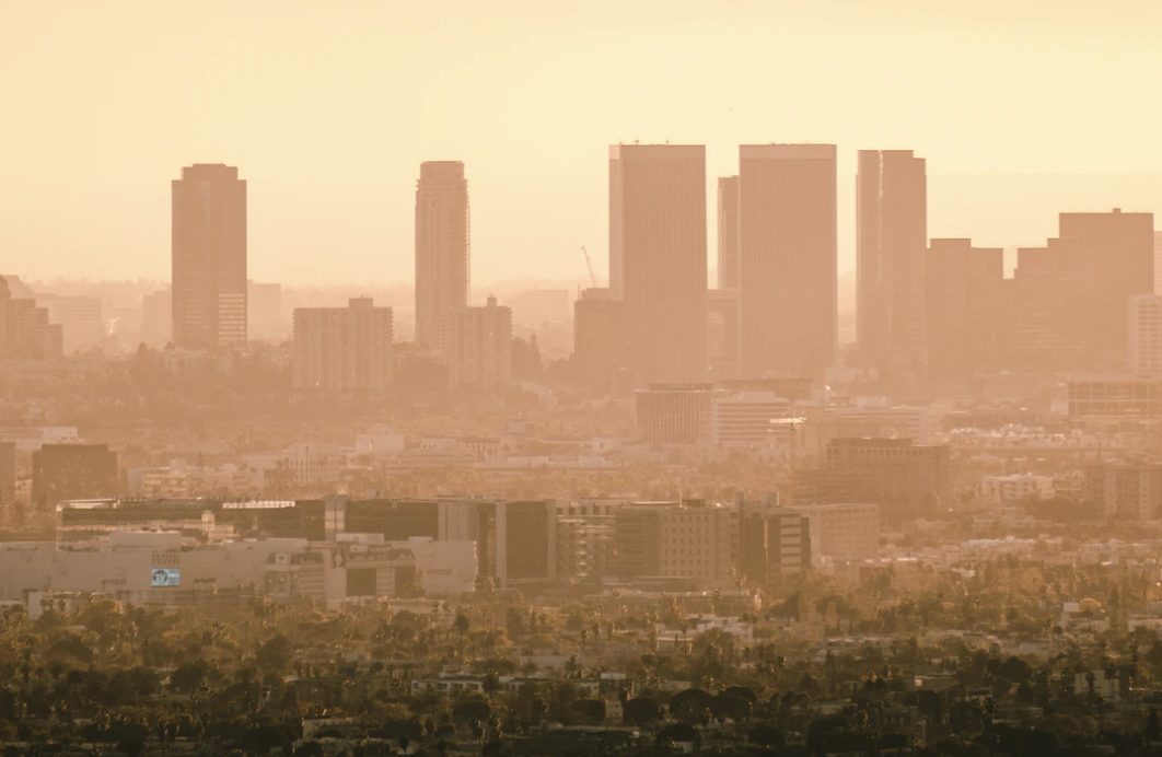 Screen Shot 2021 05 25 at 9.23.01 AM